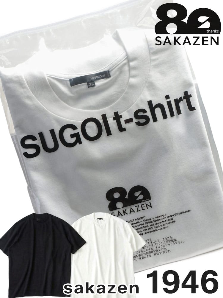 【予約販売】4月下旬より順次発送予定 Tシャツ 半袖 パックTシャツ メンズ 大きいサイズ SUGOI TSHIRT クルーネック カットソー HYBRIDBIZ ハイブリッドビズ