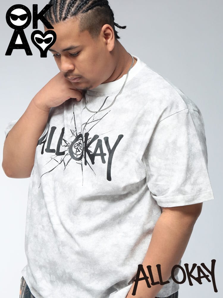 Tシャツ 半袖 メンズ 大きいサイズ フロント×バック 加工プリント カットソー トップス コットン 柄 プリント クルー ストリート 春 夏