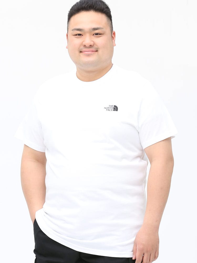 大きいサイズ メンズ THE NORTH FACE (ザ ノースフェイス) 綿100％ 胸ロゴ クルーネック 半袖 Tシャツ SIMPLE DOME TEE