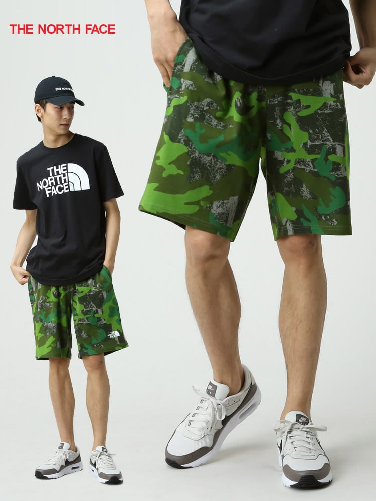 THE NORTH FACE (ザ ノースフェイス) BIGロゴ ショートパンツ GRAPHIC SHORT LIGHT EU