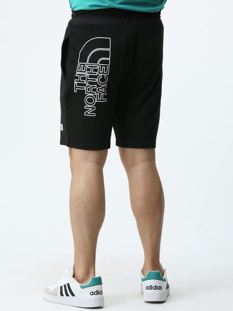 大きいサイズ メンズ THE NORTH FACE (ザ ノースフェイス) ワンポイント ウエストゴム ショートパンツ GRAPHIC SHORT LIGHT EU
