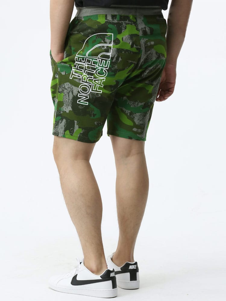 大きいサイズ メンズ THE NORTH FACE (ザ ノースフェイス) ワンポイント ウエストゴム ショートパンツ GRAPHIC SHORT LIGHT EU