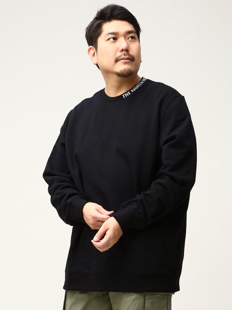 大きいサイズ メンズ THE NORTH FACE (ザ ノースフェイス) 裏起毛 