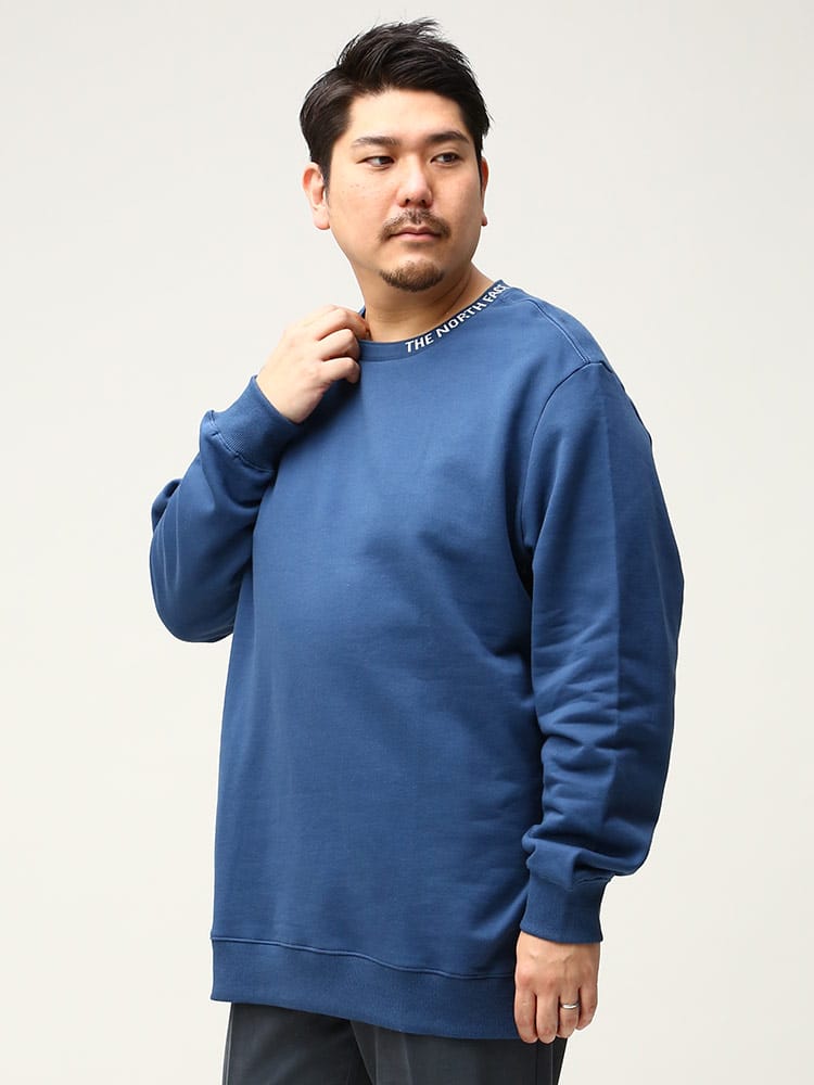 大きいサイズ メンズ THE NORTH FACE (ザ ノースフェイス) 裏起毛 