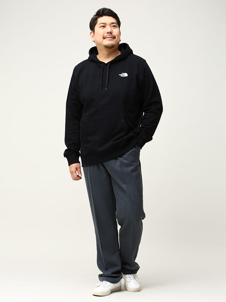 大きいサイズ メンズ THE NORTH FACE (ザ ノースフェイス) 裏起毛 プリント プルオーバー パーカー Men’s Seasonal Graphic Hoodie トップス 新品 ブラック 1XL