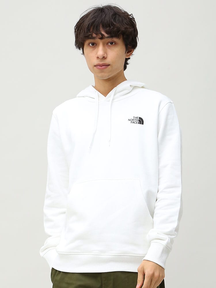 THE NORTH FACE (ザ ノースフェイス) 裏起毛 プルオーバー パーカー SEASONAL GRAPHIC HOODIE