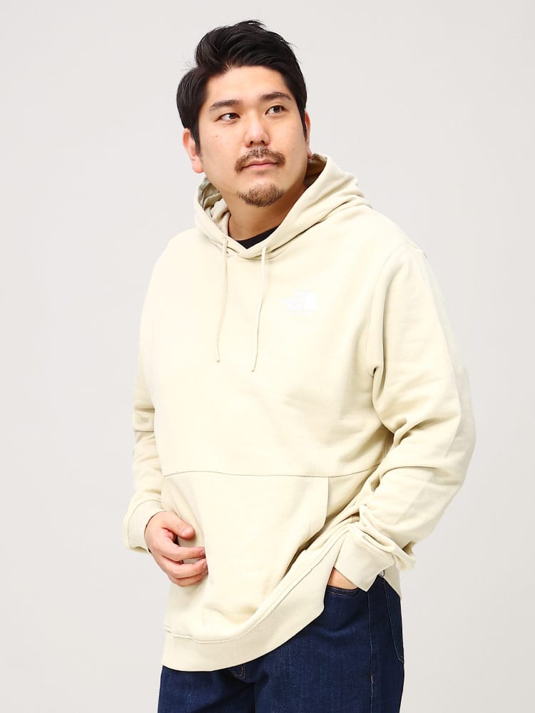 大きいサイズ メンズ THE NORTH FACE (ザ ノースフェイス) 裏起毛 バックプリント プルオーバー パーカー COORDINATES HOODIE