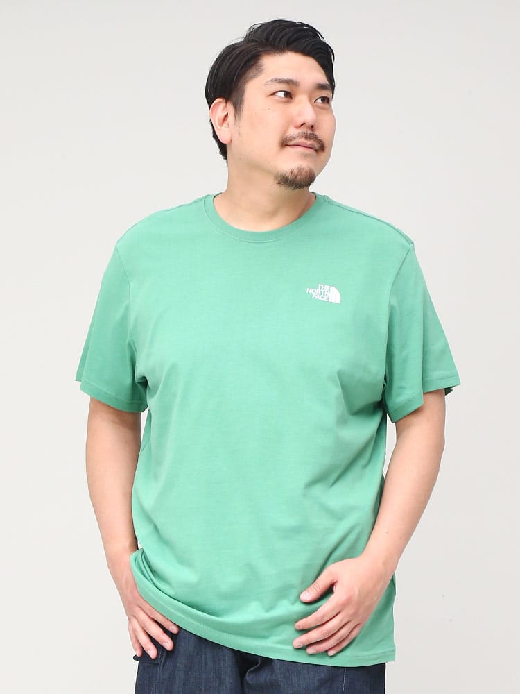 大きいサイズ メンズ THE NORTH FACE (ザ ノースフェイス) バックBOXロゴ クルーネック 半袖 Tシャツ Redbox Tee-Eu