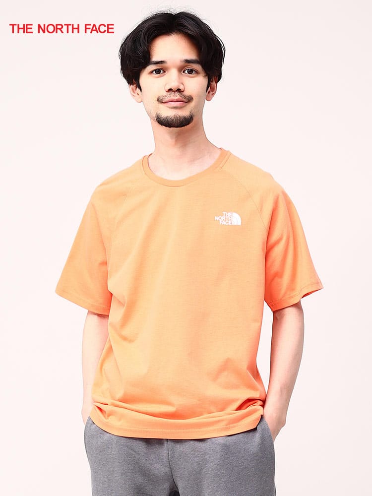 ザ ノースフェイス Tシャツ メンズ レディース THE NORTH FACE バックプリント 半袖  <br>メンズ 男性 トップス シャツ Tシャツ クルー 半袖 春 夏 NF00CEQ8<br>