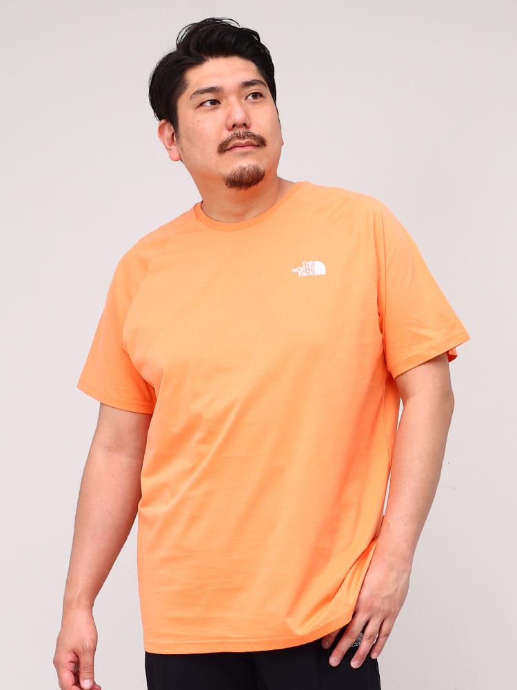 大きいサイズ メンズ THE NORTH FACE (ザ ノースフェイス) バックプリント クルーネック 半袖 Tシャツ NORTH FACES TEE-EU