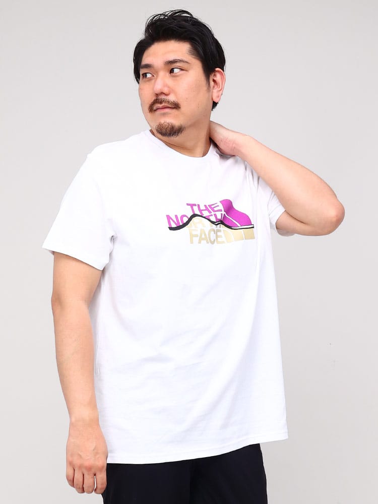 大きいサイズ メンズ THE NORTH FACE (ザ ノースフェイス) フロントロゴ クルーネック 半袖 Tシャツ MOUNTAIN LINE TEE