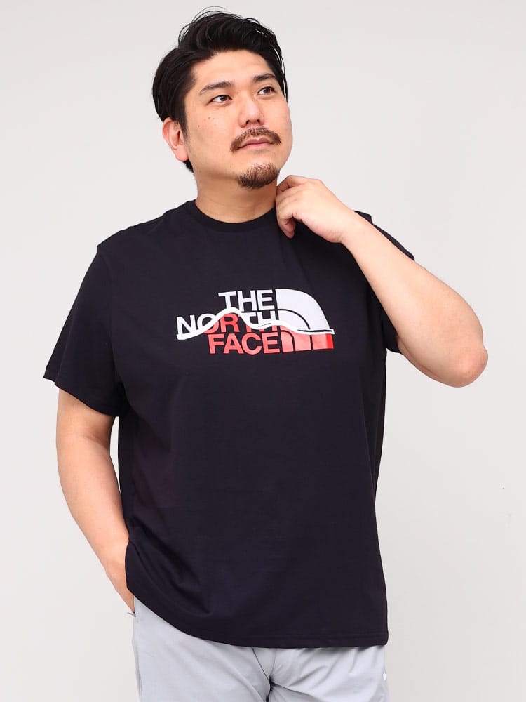 大きいサイズ メンズ THE NORTH FACE (ザ ノースフェイス) フロントロゴ クルーネック 半袖 Tシャツ MOUNTAIN LINE TEE