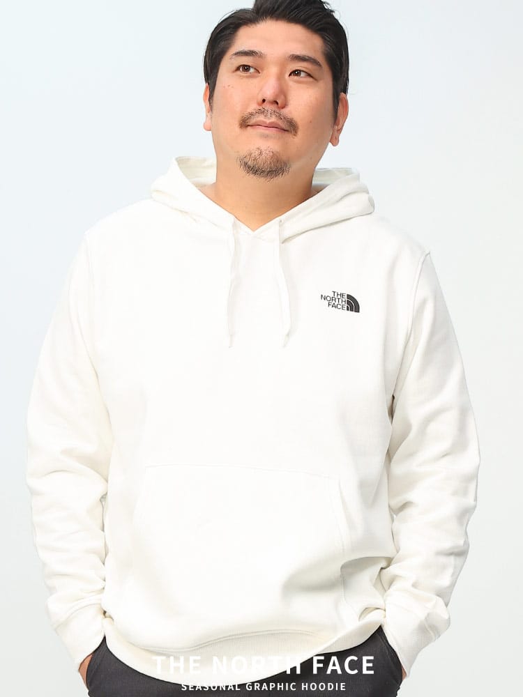 裏起毛 バックプリント プルオーバー パーカー SEASONAL GRAPHIC HOODIE (THE NORTH FACE) ザ ノースフェイス 大きいサイズ メンズ