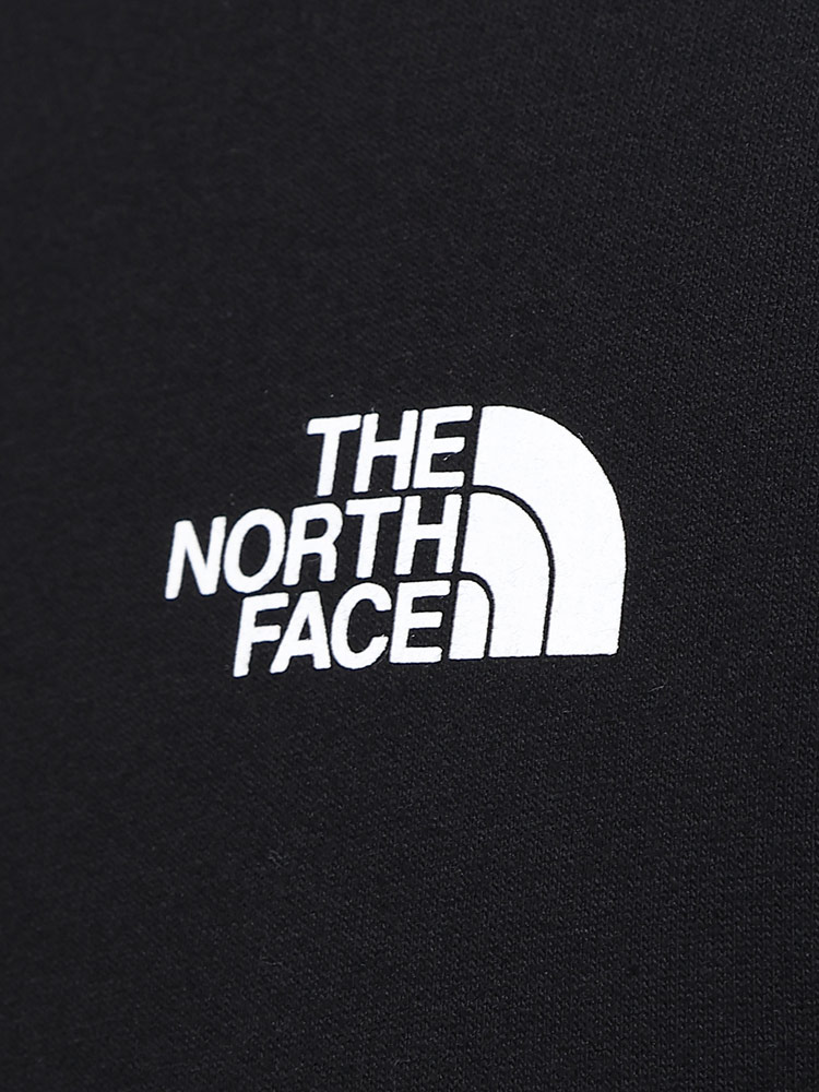 裏起毛 バックプリント プルオーバー パーカー Seasonal Graphic Hoodie (The NORTH FACE) ザ ノースフェイス 大きいサイズ メンズ トップス 新品 ホワイト 無地