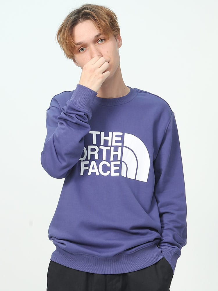 THE NORTH FACE (ザ ノースフェイス) 裏起毛 ロゴプリント クルーネック トレーナー STANDARD CREW