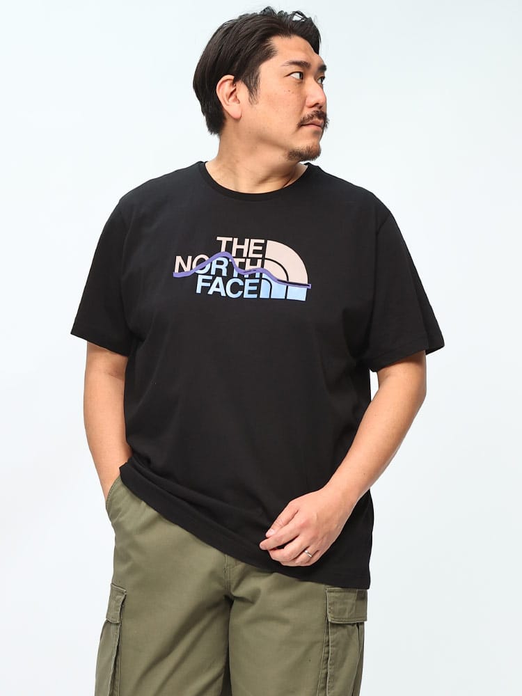 【WEB先行値下げ】半袖 Tシャツ ラインマウンテン クルーネック トップス クルー ロゴ 大きいサイズ メンズ