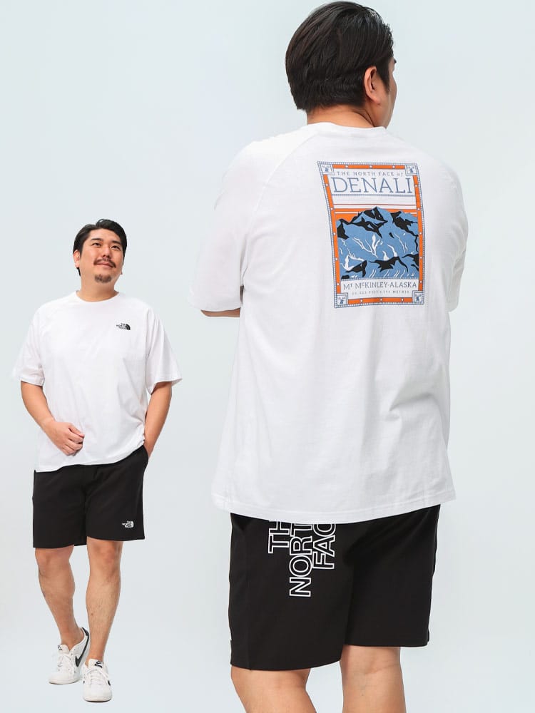 半袖 Tシャツ マウンテンロゴ ラグラン クルーネック トップス クルー ロゴ 大きいサイズ メンズ