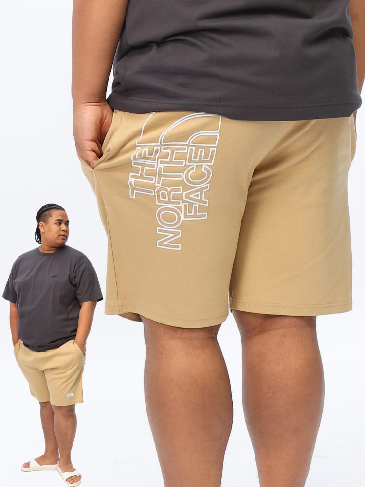 ショートパンツ バックロゴプリント M GRAPHIC SHORT LIGHT EU NF0A3S4FD22 ショーツ 半ズボン 大きいサイズ メンズ