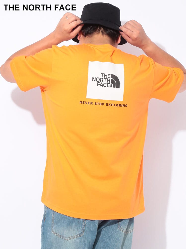 【WEB先行値下げ】半袖 Tシャツ ボックスロゴ バックプリント クルーネック SS BOX NSE TEE トップス プリントT TEE 大きいサイズ メンズ