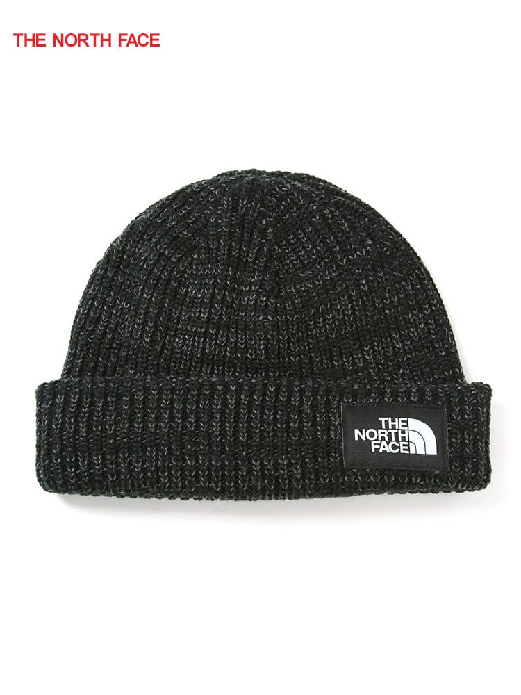 THE NORTH FACE (ザ ノースフェイス) ワンポイントロゴ ニットキャップ 帽子 秋冬 SALTY DOG BEANIE