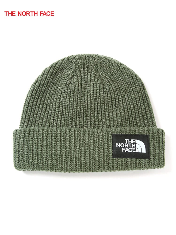 THE NORTH FACE (ザ ノースフェイス) ワンポイントロゴ ニットキャップ 帽子 秋冬 SALTY DOG BEANIE