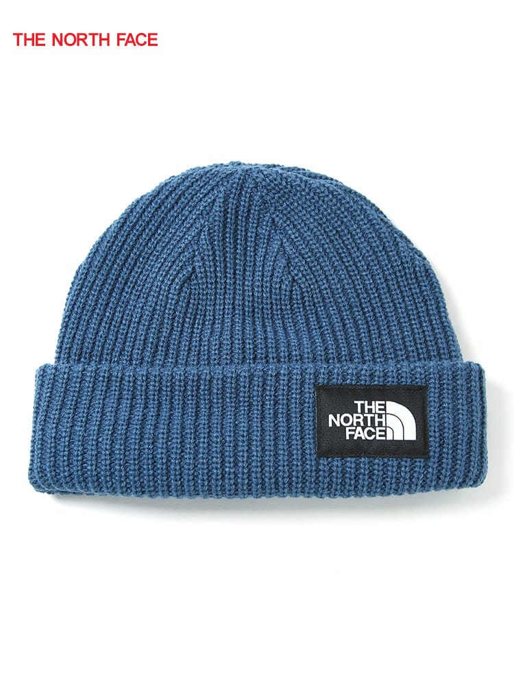 THE NORTH FACE (ザ ノースフェイス) ワンポイントロゴ ニットキャップ 帽子 秋冬 SALTY DOG BEANIE