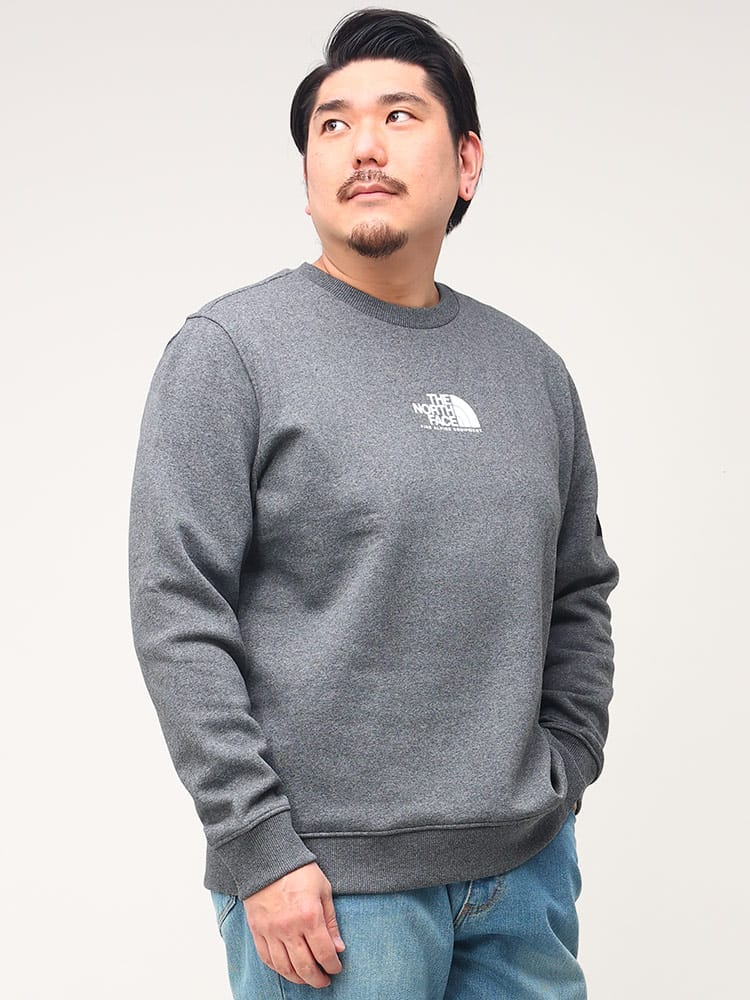 大きいサイズ メンズ THE NORTH FACE (ザ ノースフェイス) 裏起毛 ロゴプリント クルーネック トレーナー SEASONAL FINE CREW