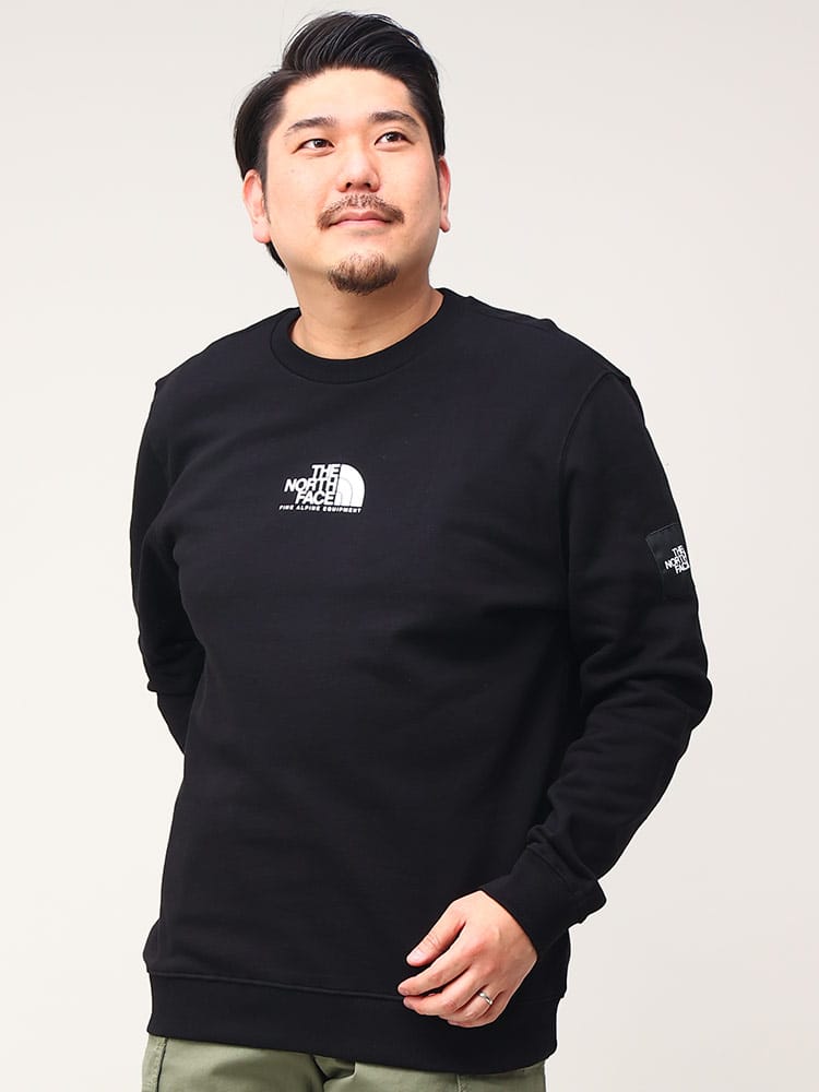 大きいサイズ メンズ THE NORTH FACE (ザ ノースフェイス) 裏起毛 ロゴプリント クルーネック トレーナー SEASONAL FINE CREW