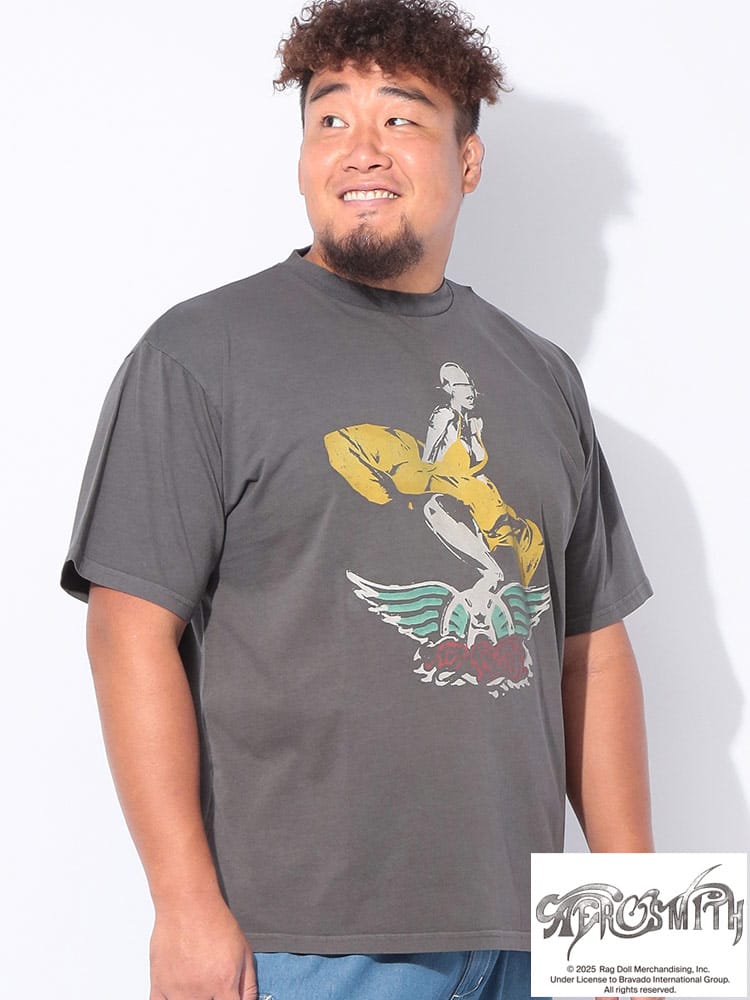 半袖 Tシャツ エアロスミス プリント バンド クルーネック トップス プリントT バンドT バンTee 大きいサイズ メンズ