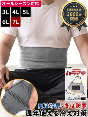 腹巻き 日本製 レーヨン×シルク 抗菌防臭 ハラマキ 肌着 下着  防寒肌着 冷え対策 大きいサイズ メンズ