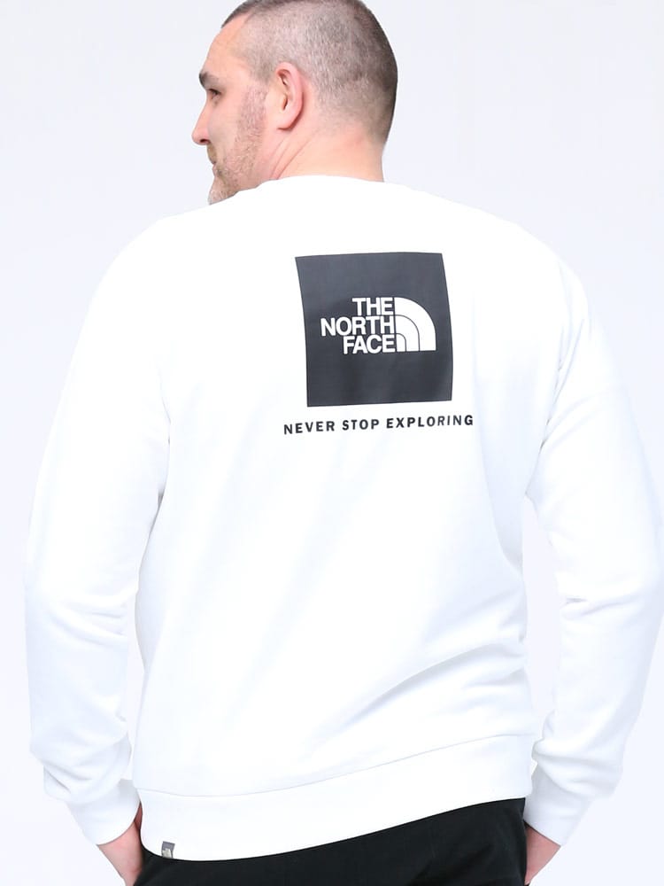 大きいサイズ メンズ THE NORTH FACE (ザ ノースフェイス) 裏起毛 バックBOXロゴ クルーネック トレーナー RAGLAN REDBOX CREW