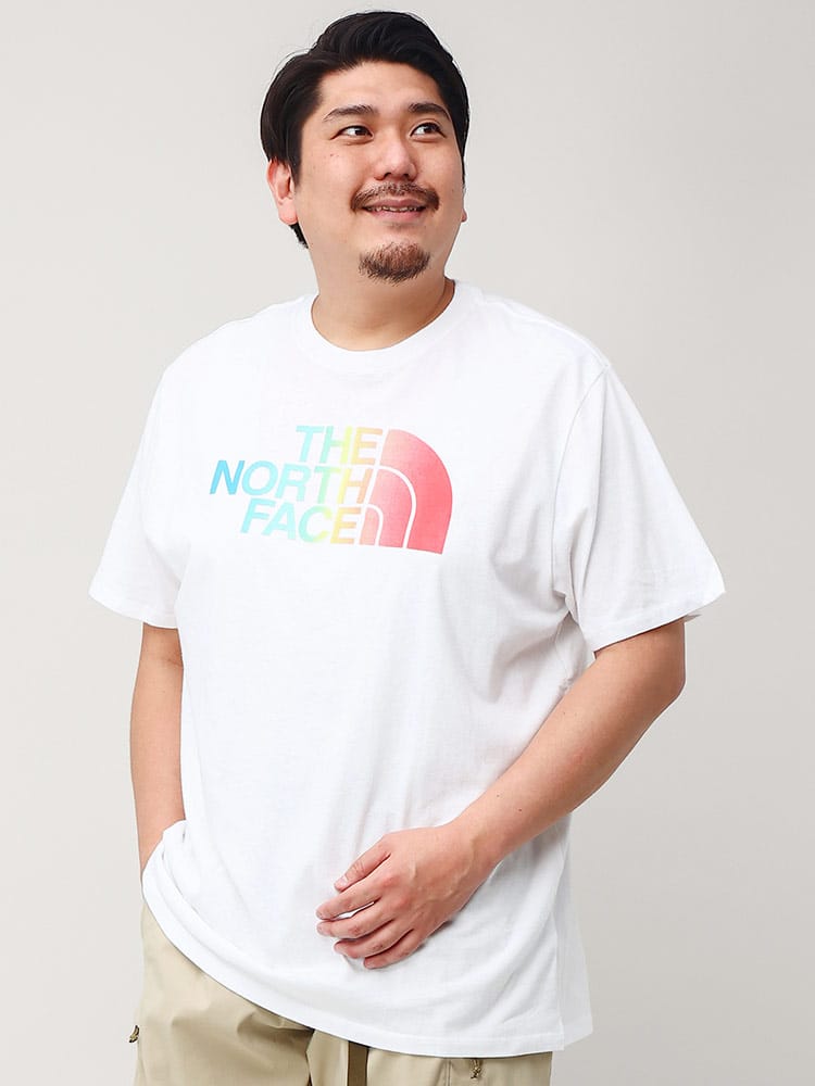 大きいサイズ メンズ THE NORTH FACE (ザ ノースフェイス) ロゴプリント クルーネック 半袖 Tシャツ HALF DOME TEE