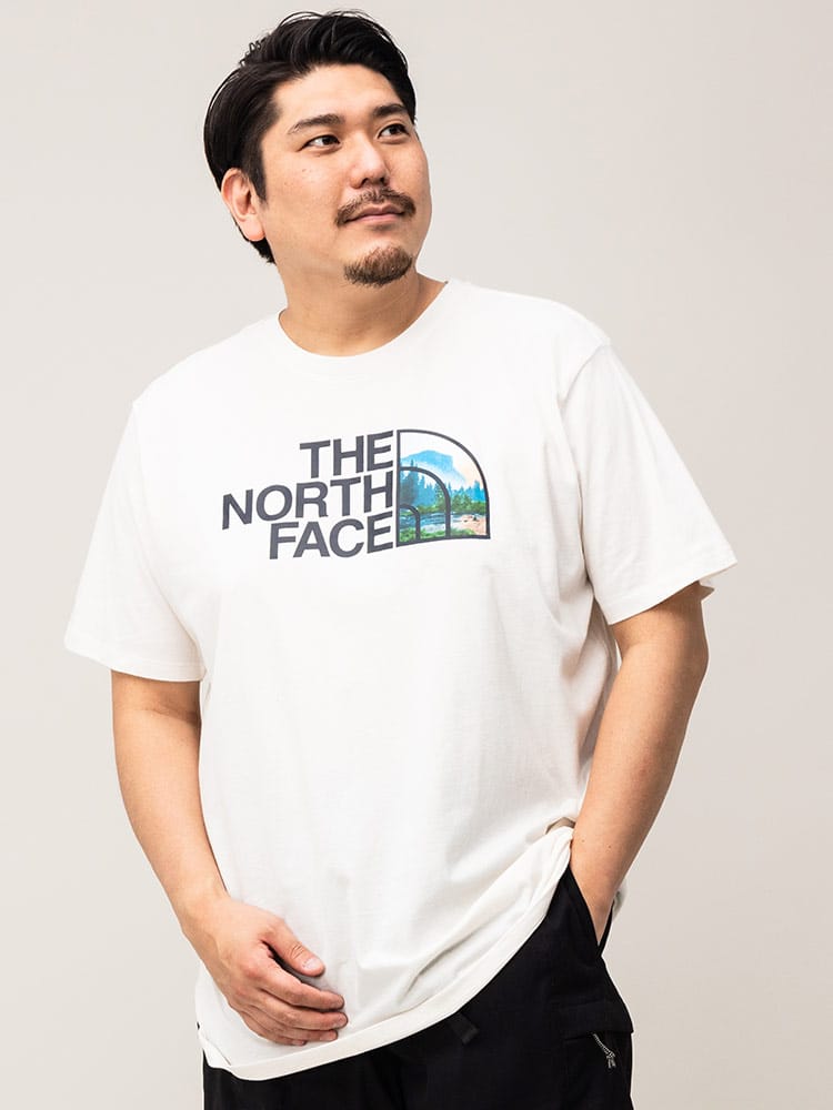 大きいサイズ メンズ THE NORTH FACE (ザ ノースフェイス) ロゴプリント クルーネック 半袖 Tシャツ HALF DOME TEE