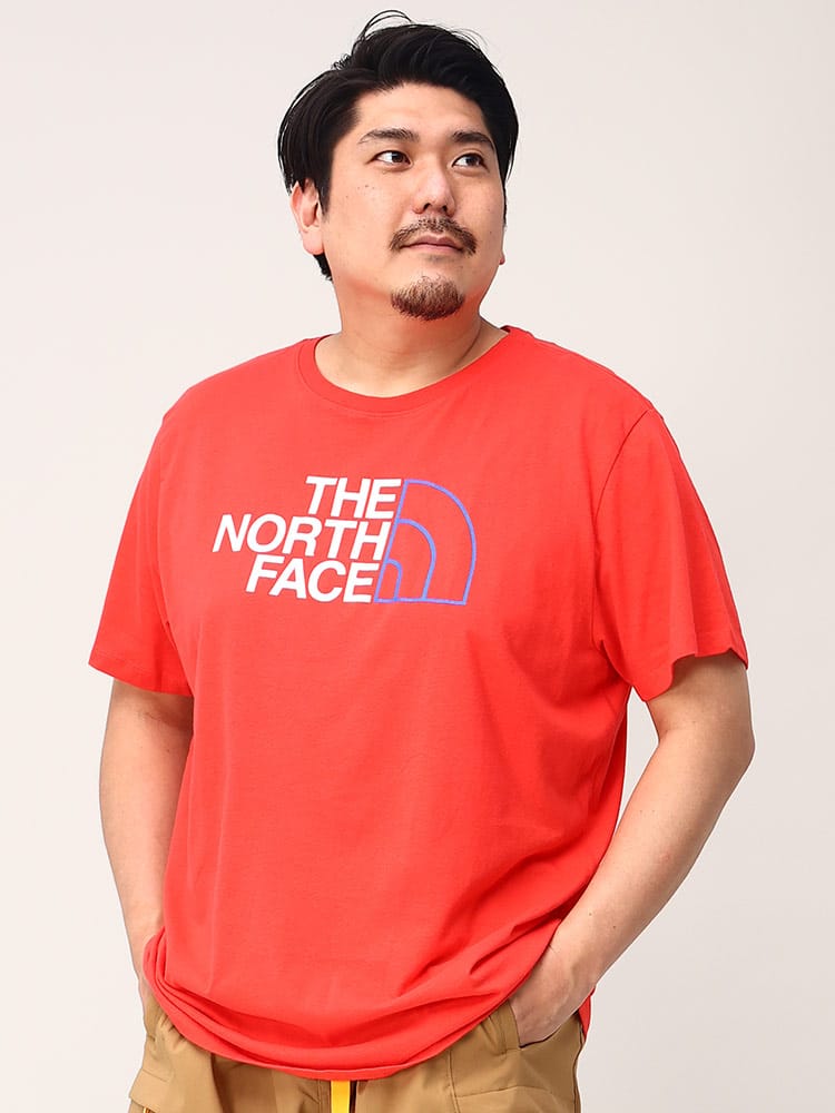 大きいサイズ メンズ THE NORTH FACE (ザ ノースフェイス) ロゴプリント クルーネック 半袖 Tシャツ HALF DOME TEE
