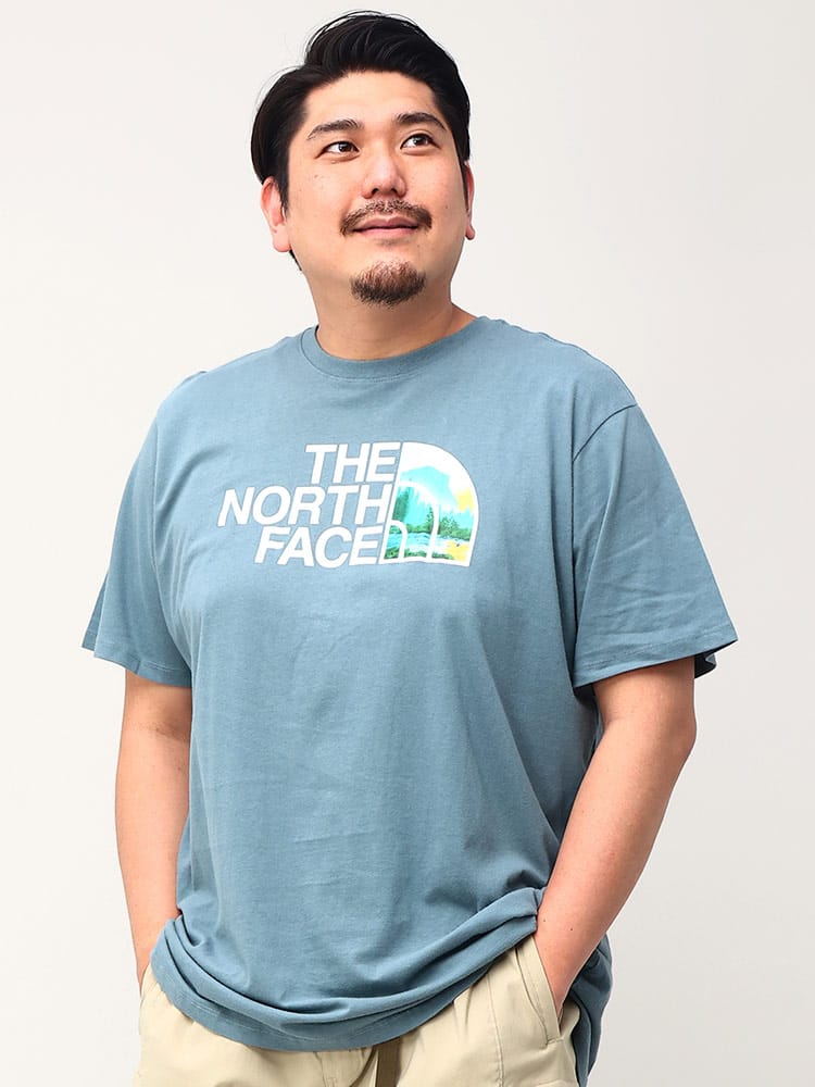 大きいサイズ メンズ THE NORTH FACE (ザ ノースフェイス) ロゴプリント クルーネック 半袖 Tシャツ HALF DOME TEE