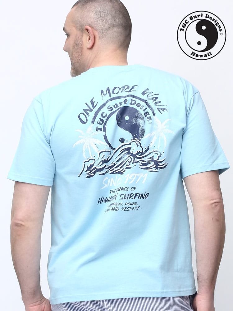 大きいサイズ メンズ T＆C Surf Designs (ティーアンドシーサーフデザイン) ヤシの木 バックプリント クルーネック 半袖 Tシャツ