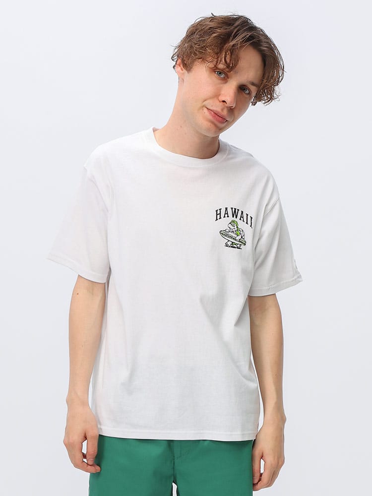 JEMORGAN LONG JOHNS (ジェーイーモーガンロングジョーンズ) HAWAII サーフ×カメ ダメージプリント 半袖 Tシャツ JE00222S