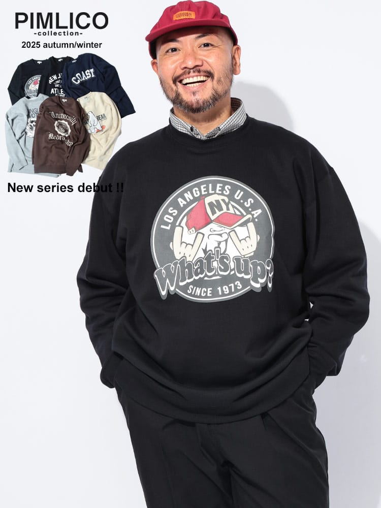 スウェットトレーナー  裏起毛 ソフトタッチ デザインプリント トップス 大きいサイズ メンズ