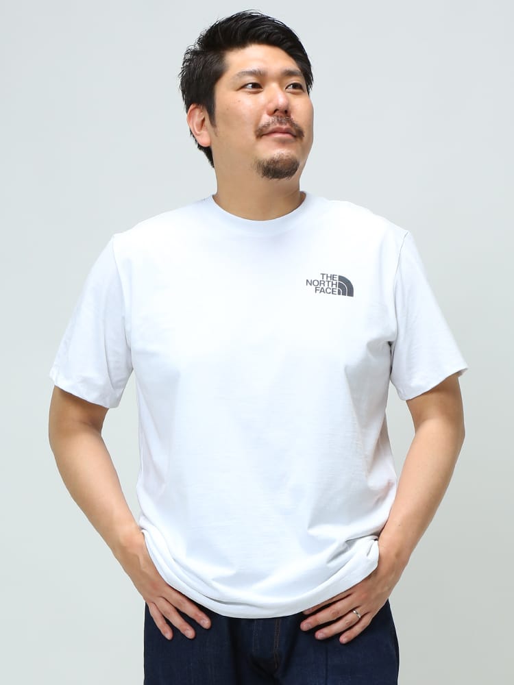大きいサイズ メンズ THE NORTH FACE (ザ ノースフェイス) バックBOXプリント クルーネック 半袖 Tシャツ EARTH DAY TEE