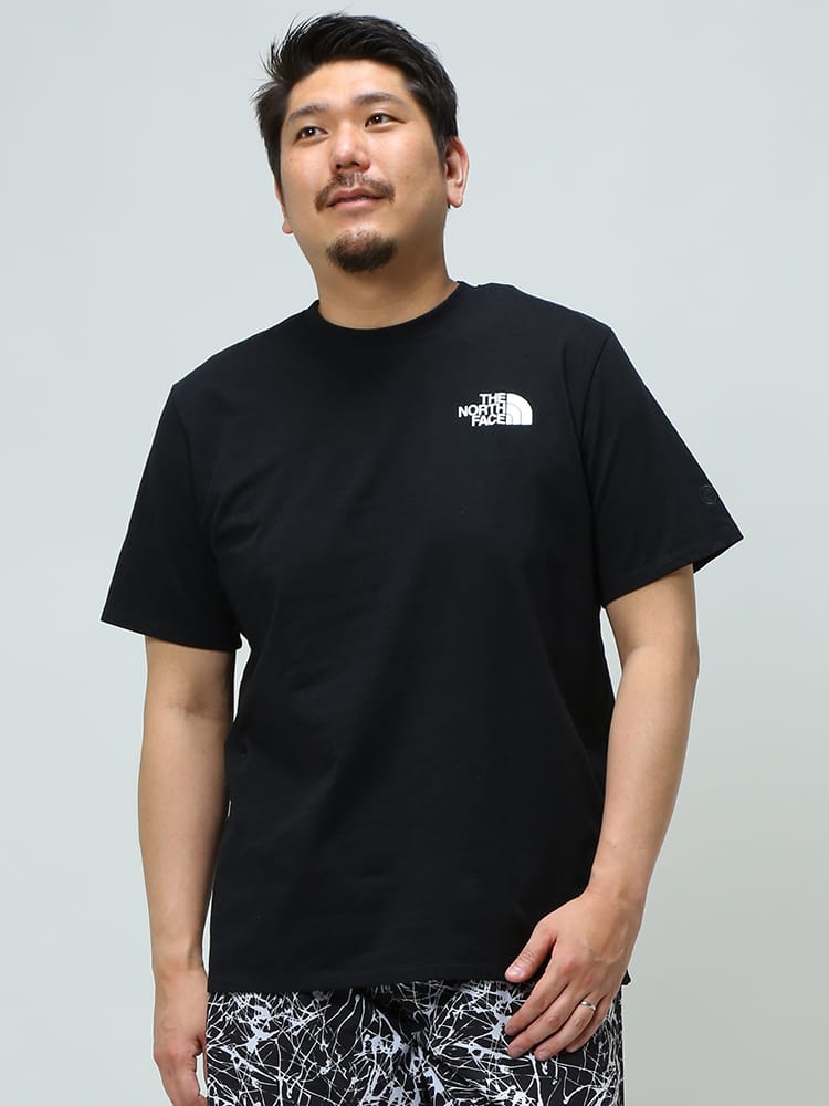大きいサイズ メンズ THE NORTH FACE (ザ ノースフェイス) バックBOXプリント クルーネック 半袖 Tシャツ EARTH DAY TEE