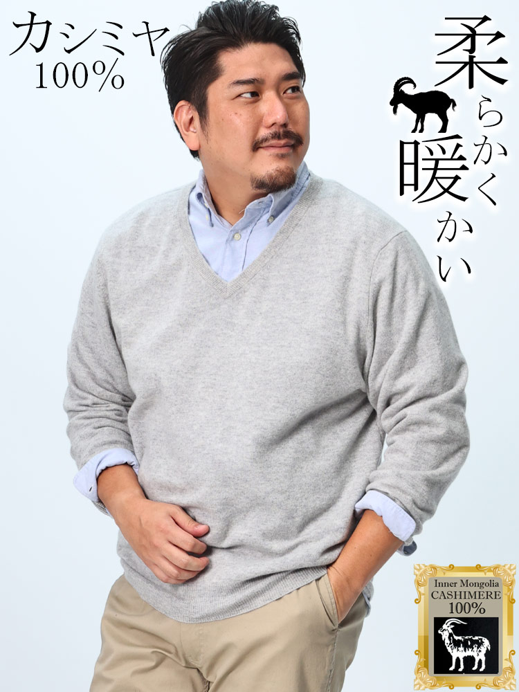 カシミヤ100％ セーター  無地 Vネック トップス ニット 長袖 秋冬 大きいサイズ メンズ カシミア