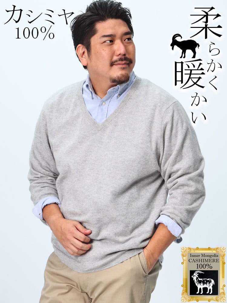 【WEB先行値下げ】カシミヤ100％ セーター 無地 Vネック トップス ニット 長袖 秋冬 大きいサイズ メンズ カシミア