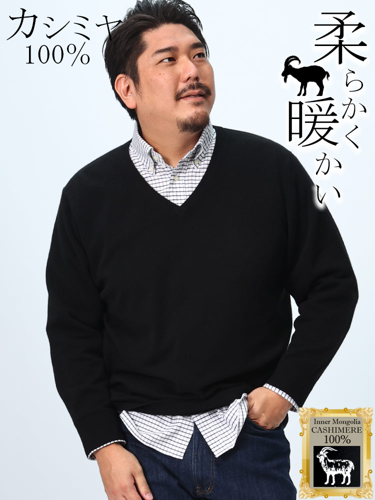カシミヤ100％ セーター  無地 Vネック トップス ニット 長袖 秋冬 大きいサイズ メンズ カシミア
