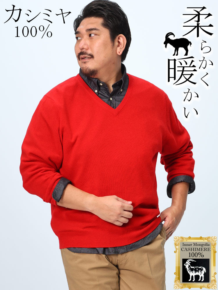 カシミヤ100％ セーター  無地 Vネック トップス ニット 長袖 秋冬 大きいサイズ メンズ カシミア