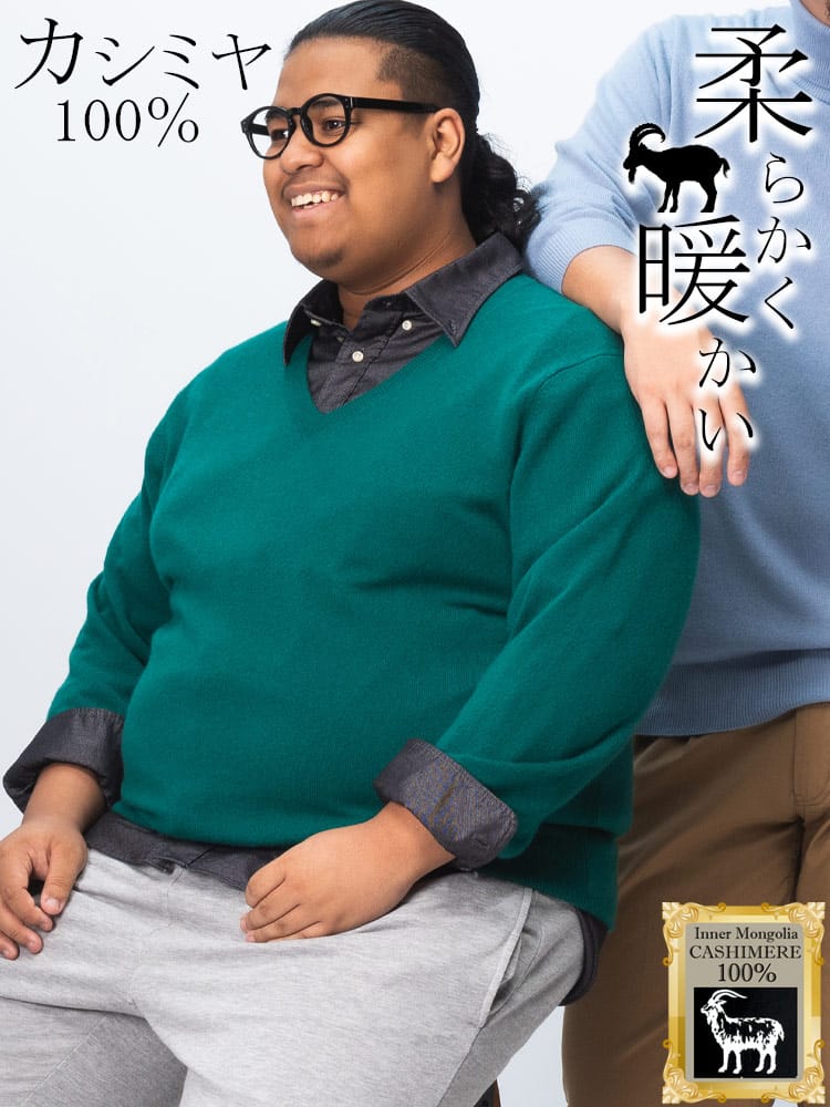 【WEB先行値下げ】カシミヤ100％ セーター 無地 Vネック トップス ニット 長袖 秋冬 大きいサイズ メンズ カシミア