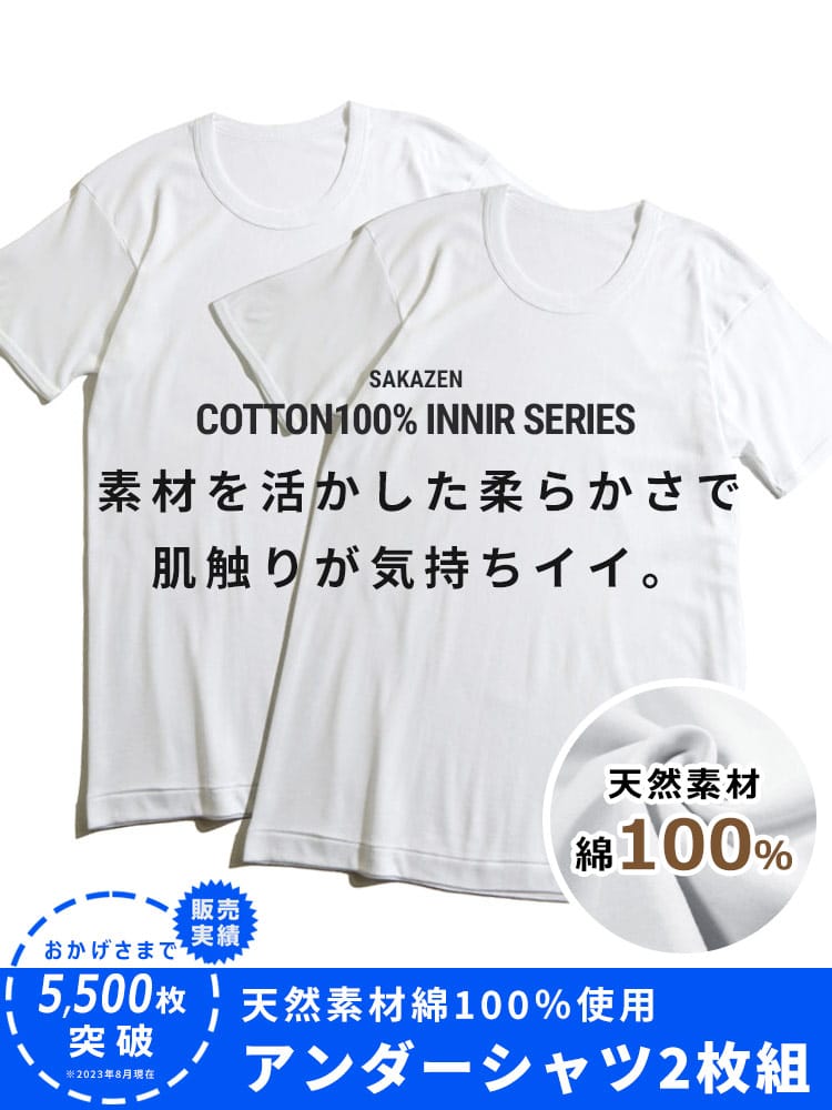 大きいサイズ メンズ B＆T CLUB (ビーアンドティークラブ) 通年肌着 綿100％ クルーネック 半袖 アンダーTシャツ 2枚組 INALL