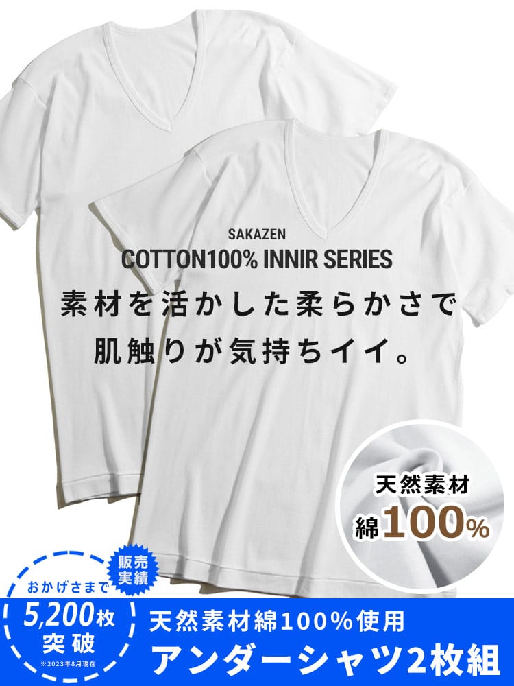 大きいサイズ メンズ B＆T CLUB (ビーアンドティークラブ) 通年肌着 綿100％ Vネック 半袖 アンダーTシャツ 2枚組 INALL