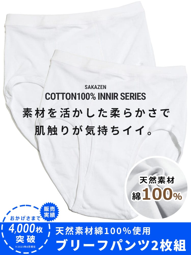 大きいサイズ メンズ B＆T CLUB (ビーアンドティークラブ) 通年肌着 綿100％ 無地 前開き ブリーフパンツ 2枚組 INALL
