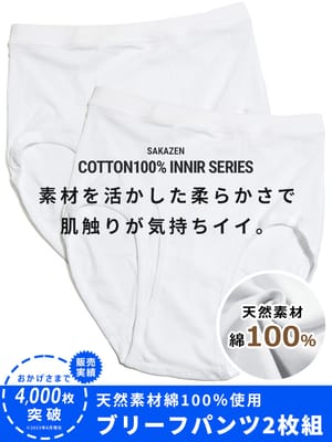 大きいサイズ メンズ B＆T CLUB (ビーアンドティークラブ) 通年肌着 綿100％ 無地 前開き ブリーフパンツ 2枚組 INALL