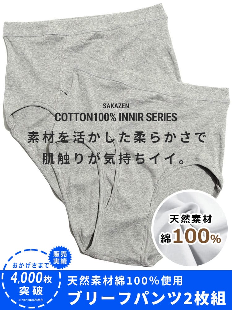 大きいサイズ メンズ B＆T CLUB (ビーアンドティークラブ) 通年肌着 綿100％ 無地 前開き ブリーフパンツ 2枚組 INALL